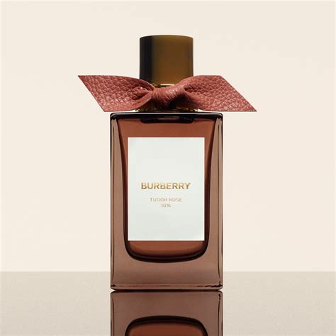 amb burberry|burberry amber heath 100ml.